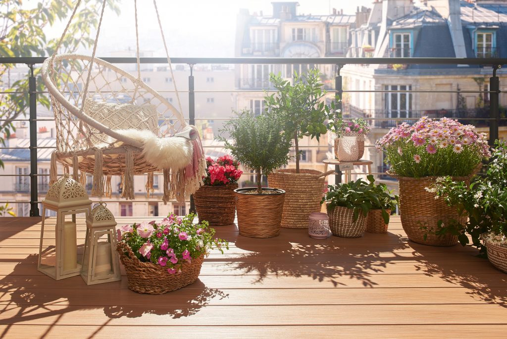 Pressemitteilungen – Kollaxo