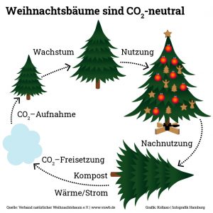 Weihnachtsbaum ist klimaneutral
