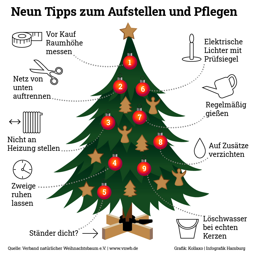 Infografik Weihnachtsbaum aufstellen und pflegen