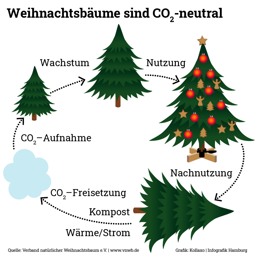 Infografik Weihnachtsbäume sind CO2-neutral